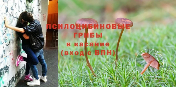 наркотики Михайловск