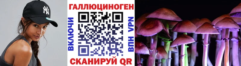 Галлюциногенные грибы прущие грибы  Малаховка 
